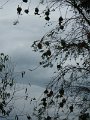 240 238 IMGP1880